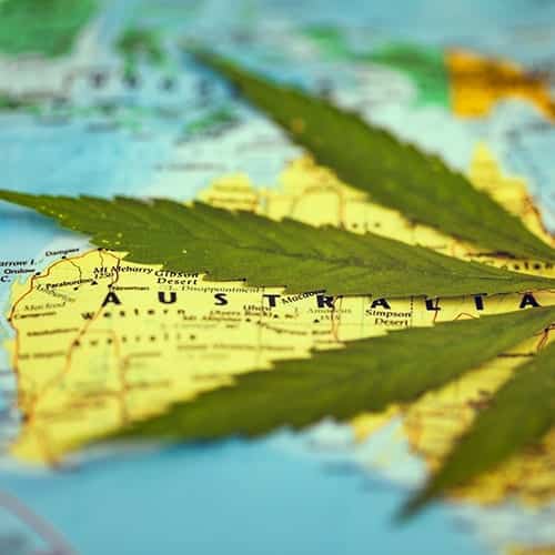 Cannabis on map