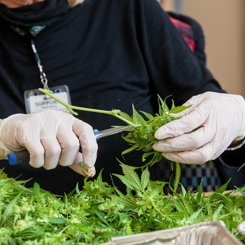 Trimming